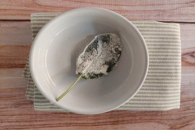 Foglia di salvia nella farina