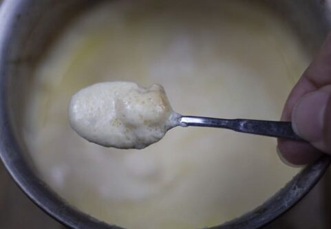 Crema panna e pecorino