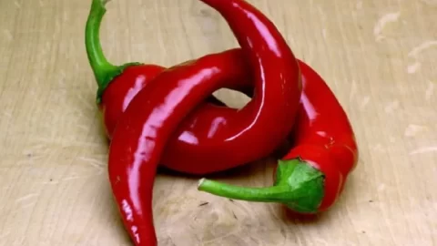 Peperoncini piccanti (spicy peppers)