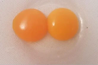 Tuorli di uovo senza albume.